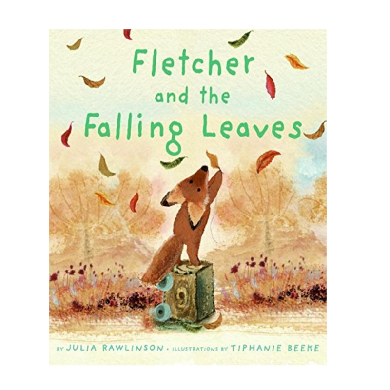 Fletcher and the Falling Leaves Books Harper Collins   