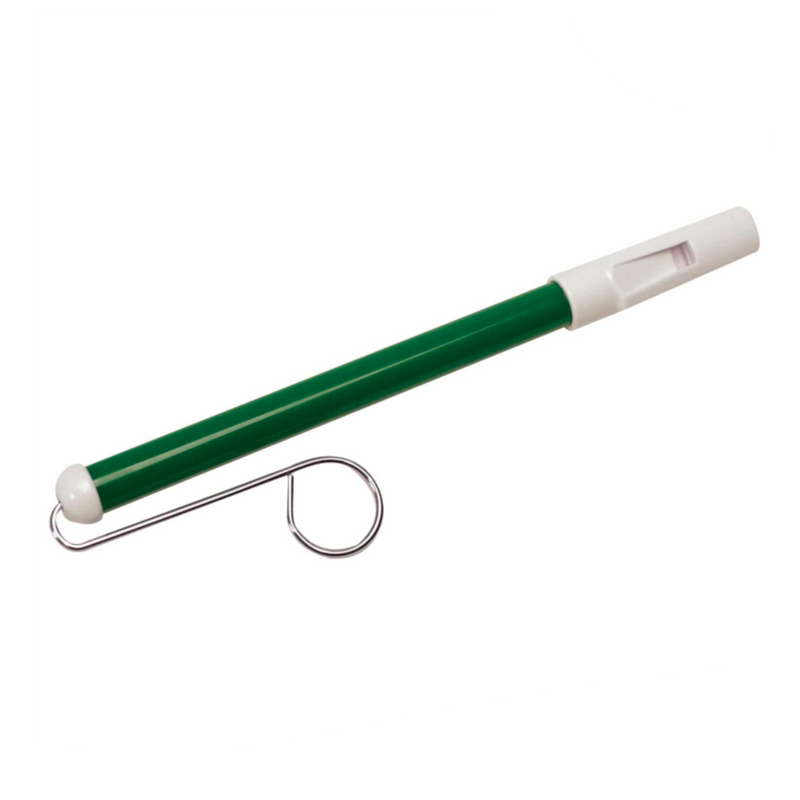 Slide Whistle - Assorted by Schylling Toys Schylling   