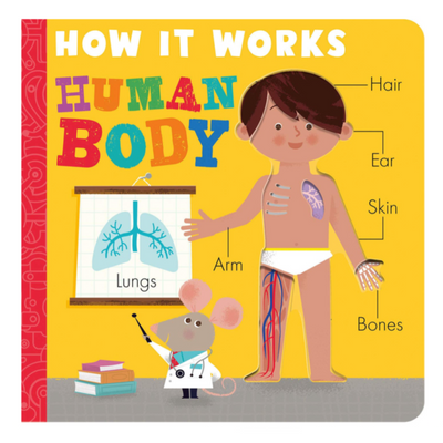How it Works: Human Body - Board Book Books Penguin Random House   