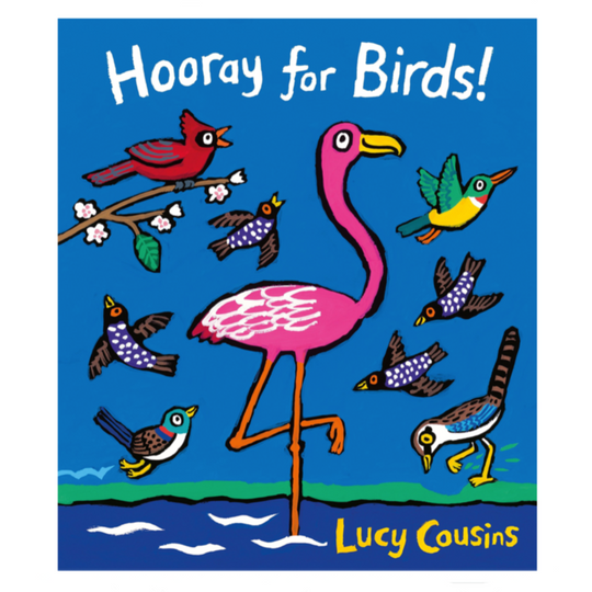 Hooray for Birds! - Board Book