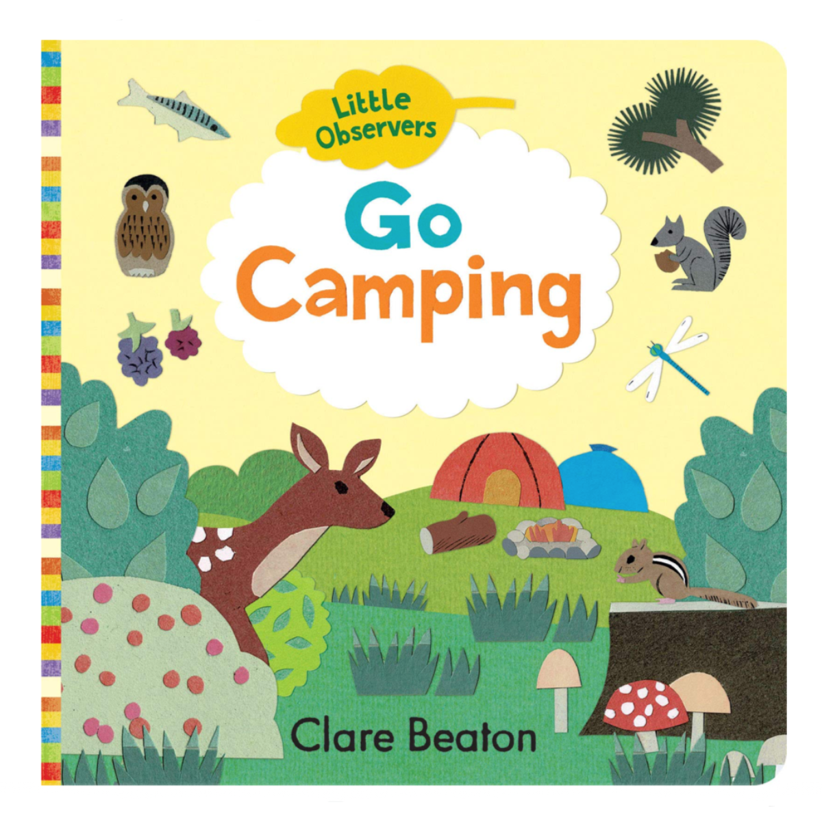 Little Observers: Go Camping - Board Book – Pacifier Kids Boutique