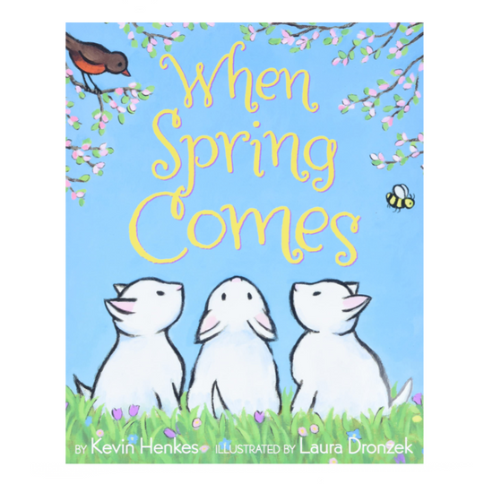 When Spring Comes - Board Book