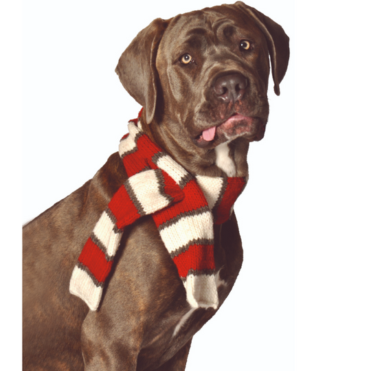 Wool Dog Scarf - Red/White Stripe by Chilly Dog