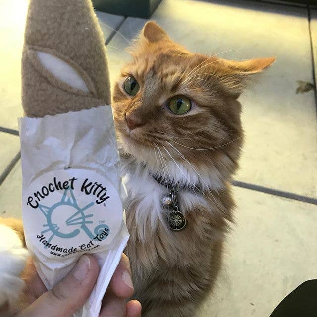 Catnip French Baguette by Crochet Kitty