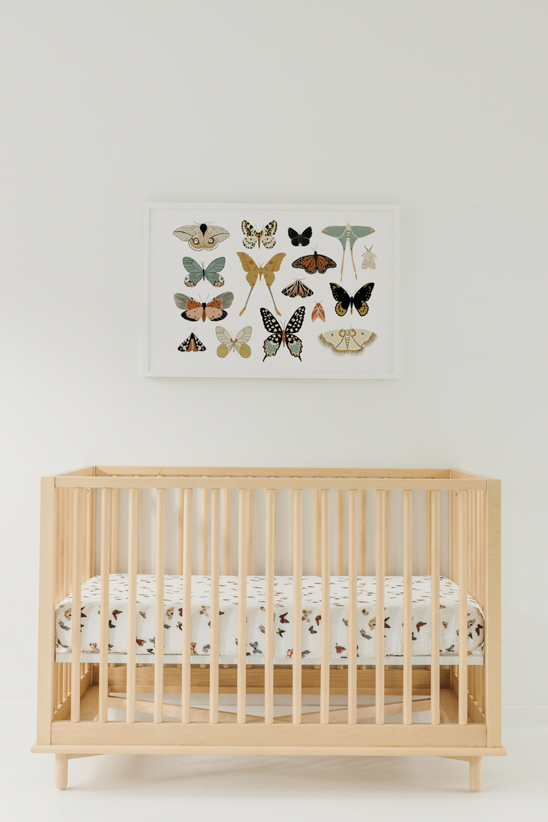 Cotton Muslin Crib Sheet - Butterfly Migration by Clementine Kids Bedding Clementine Kids   