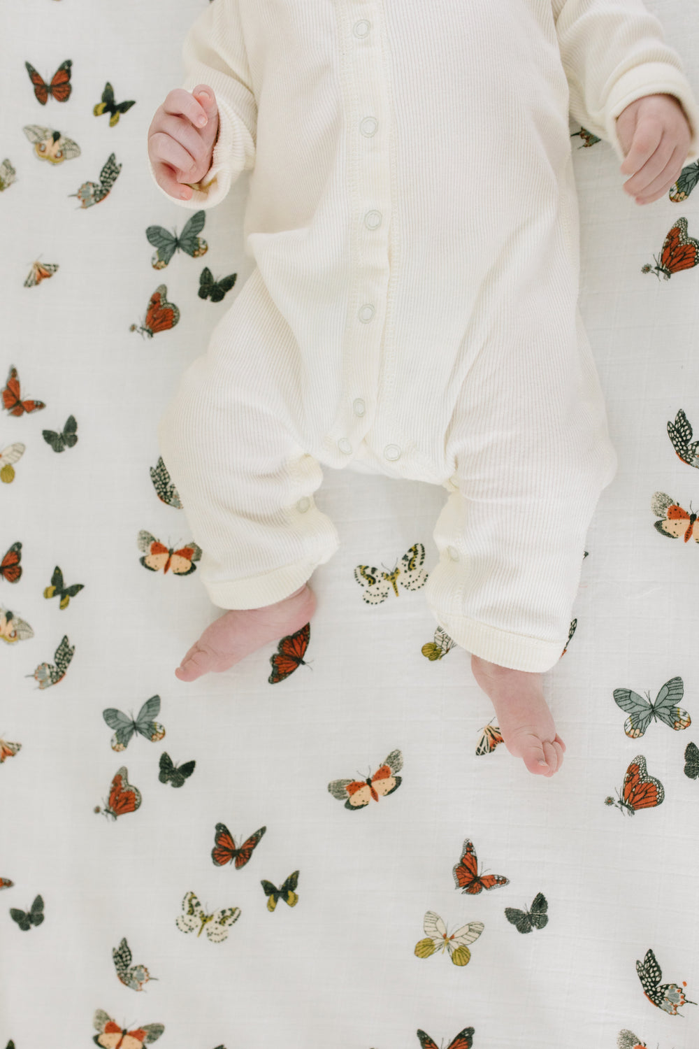 Cotton Muslin Crib Sheet - Butterfly Migration by Clementine Kids Bedding Clementine Kids   
