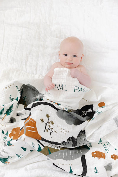 National Parks Swaddle by Clementine Kids Bedding Clementine Kids   