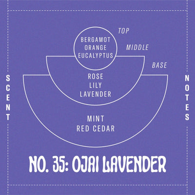 Ojai Lavender Soy Candle - Standard by PF Candle Co Decor PF Candle Co   