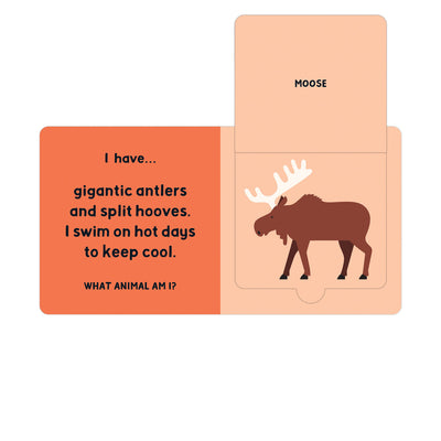 Forest Tracks: What Animal Am I? Lift-the-Flap Board Book Books Mudpuppy   