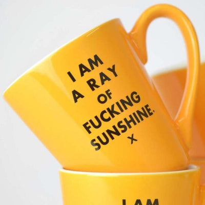 I Am A Fucking Ray Of Sunshine - Ceramic Mug 16 oz Nursing + Feeding Meriwether   