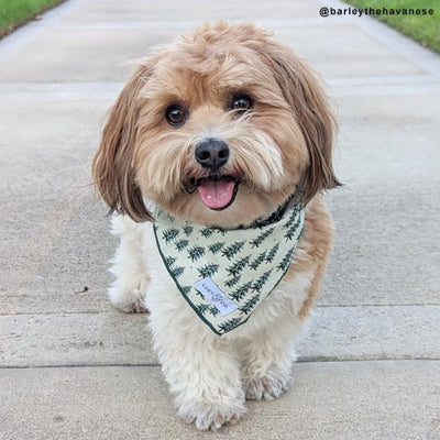 The Fraser Bandana - Small by Lucy & Co Pets Lucy & Co   