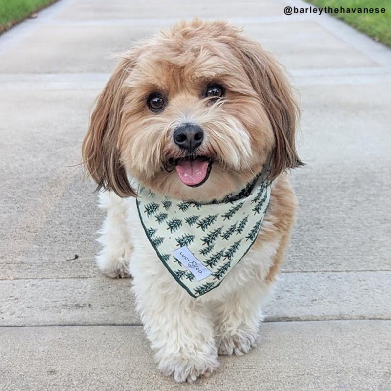 The Fraser Bandana - Large by Lucy & Co Pets Lucy & Co   