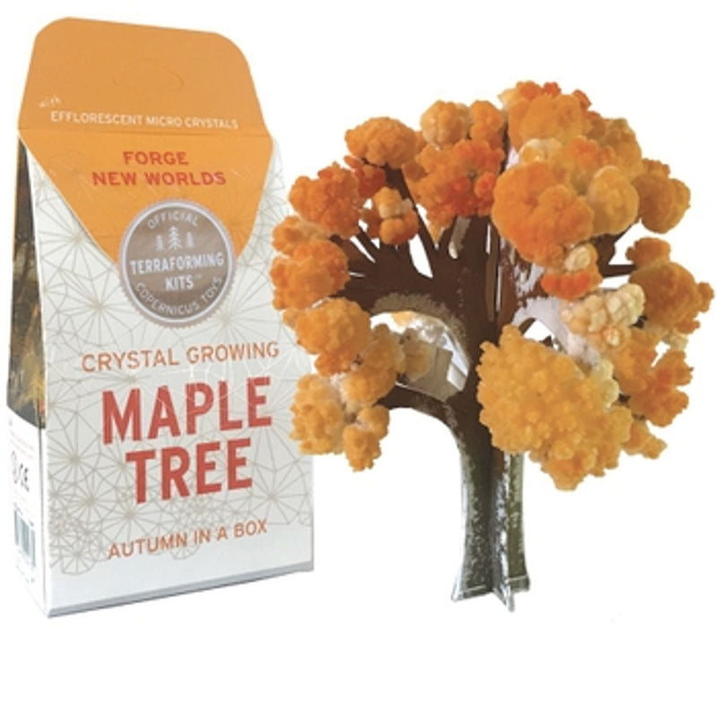 Crystal Growing Maple Tree by Copernicus Toys Toys Copernicus Toys   