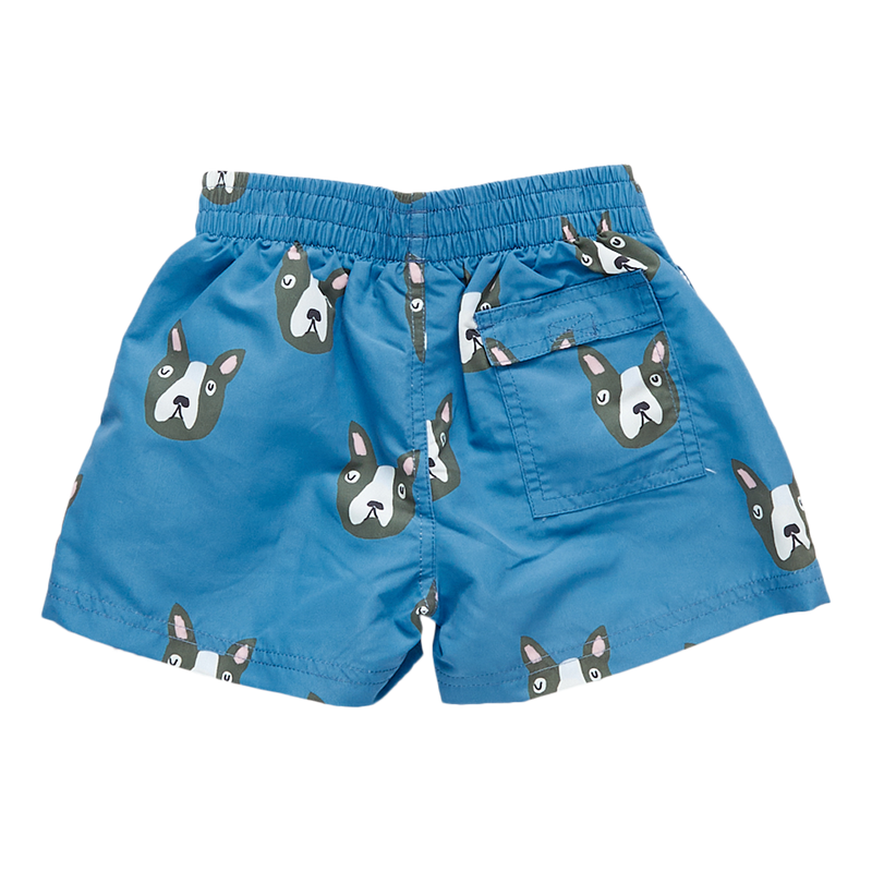 Boys Swim Trunk - Blue Boston Terrier by Pink Chicken