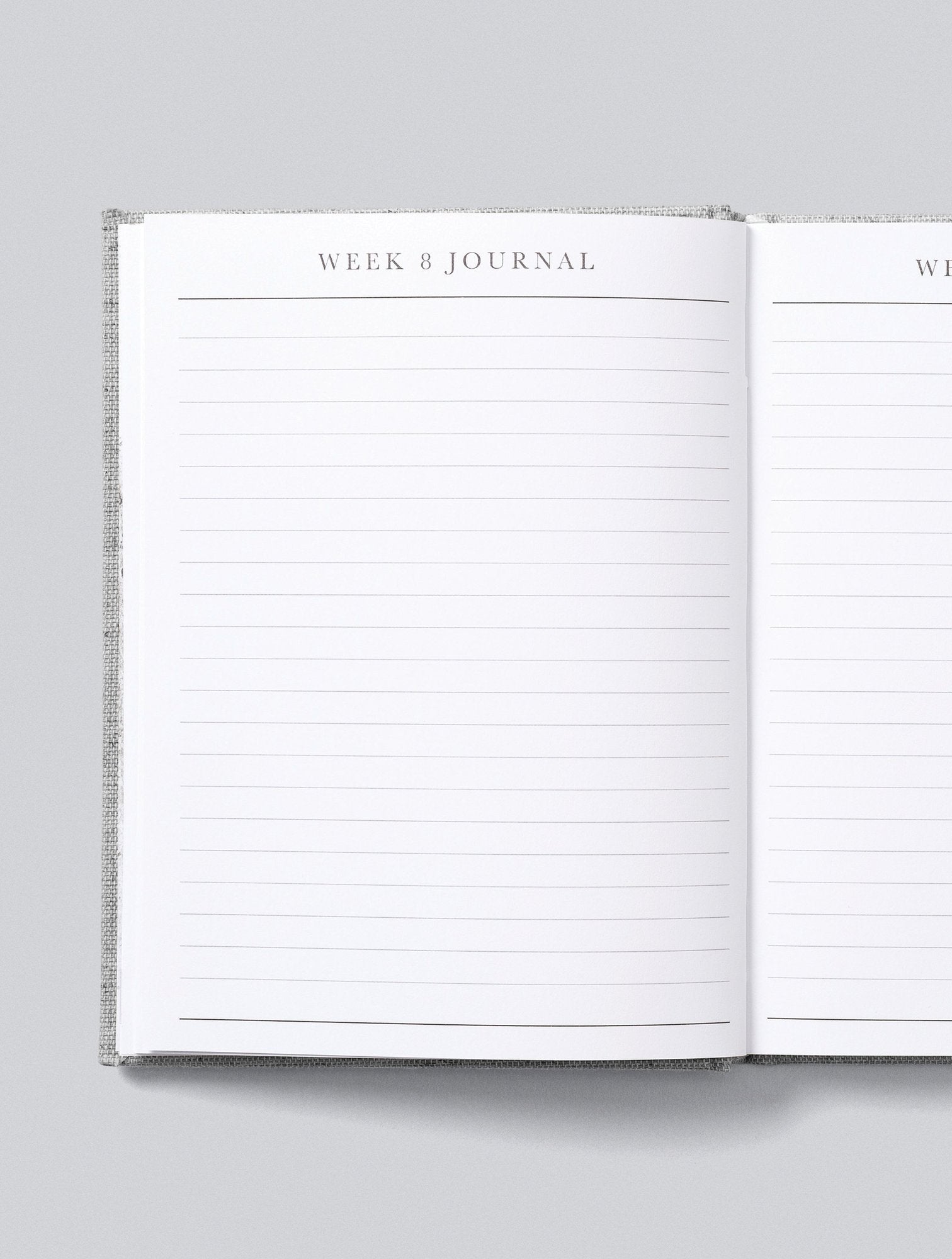 9 Months. Pregnancy Journal by Write to Me Books Write to Me   