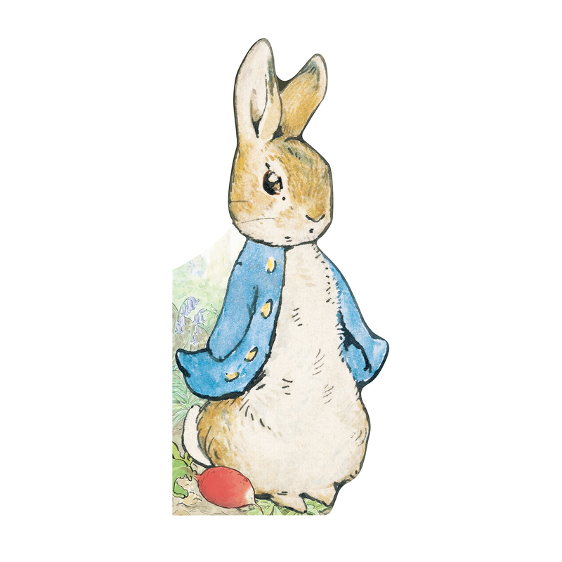 All About Peter (Peter Rabbit) - Board Book Books Random House   