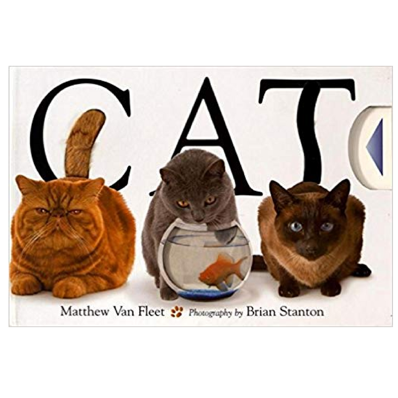 Cat - Interactive Hardcover Books Simon + Schuster   